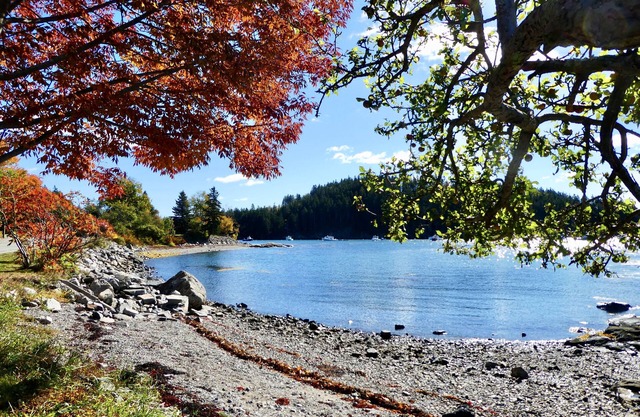 Idyllic One Bedroom Suite with Delightful Ocean and Island Views near Acadia