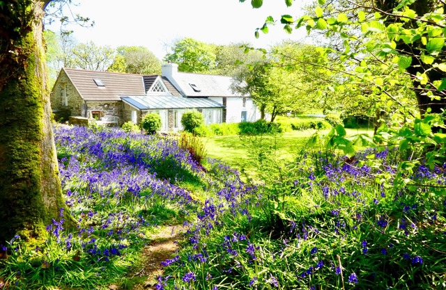 Idyllic West Cork cottage farmhouse in 3 acres, with woods and river, Skibbereen