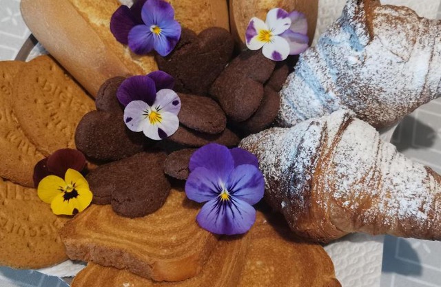 Il Colibrì Bed&Breakfast
