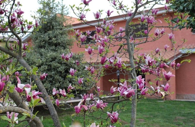 Il Sottosopra B&B