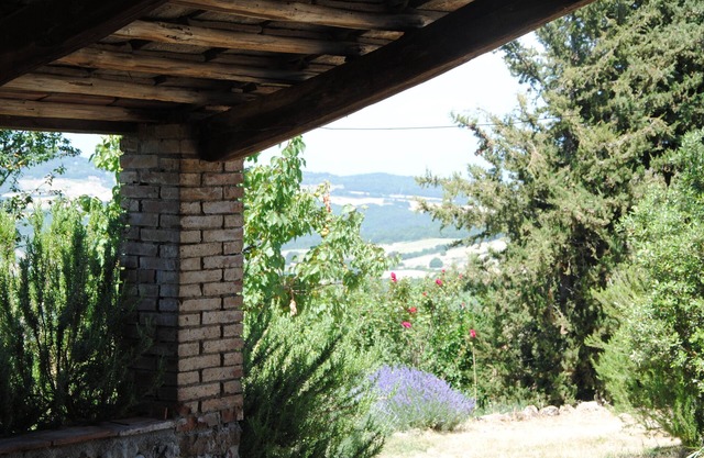 "Il Susino" is a self contained apartment adjoining the farmhouse, ideal accommo