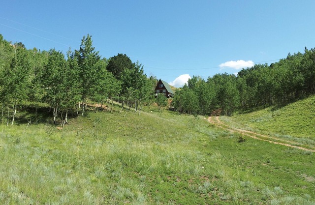 Imagine a romantic couple’s cabin nestled in the heart of the Colorado Rockies