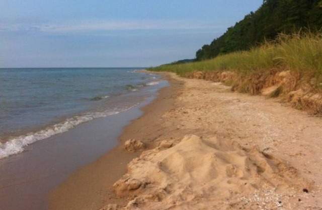 In the heart of everything Traverse City & Sleeping Bear Dunes has to offer!