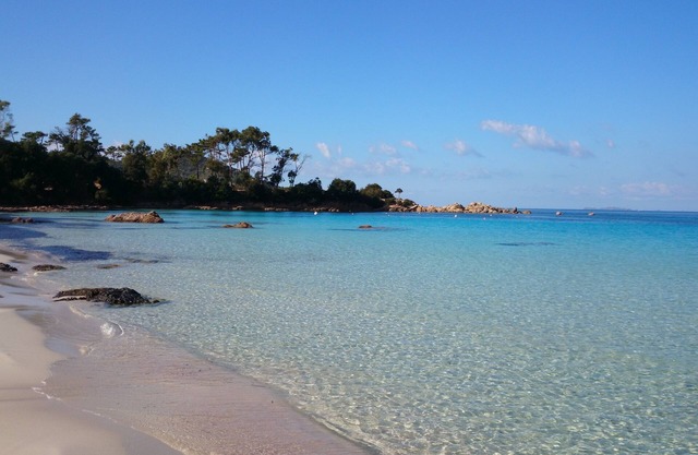 In the middle of the maquis, calm and joie de vivre are the order of the day!