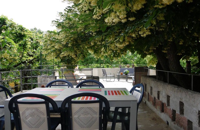 In the shade of the lime tree