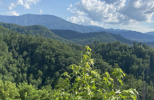 Incredible Views, Hot Tub, Pools, Golf Course