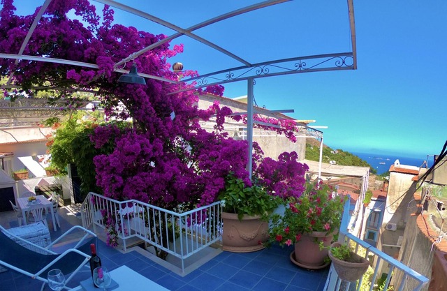 Independent villa surrounded by a suggestive sea view and a bougainvillea plant.