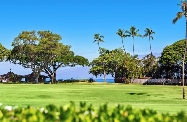 Intro Price: Newly Remodeled Ocean View "J" Studio, sleeps 4