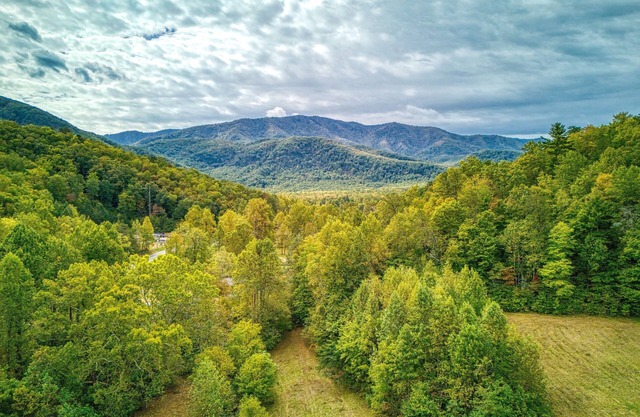 Ivy's Cottage, Pickleball Court, Creek, WIFI, Mountain Views, Starting at $79"