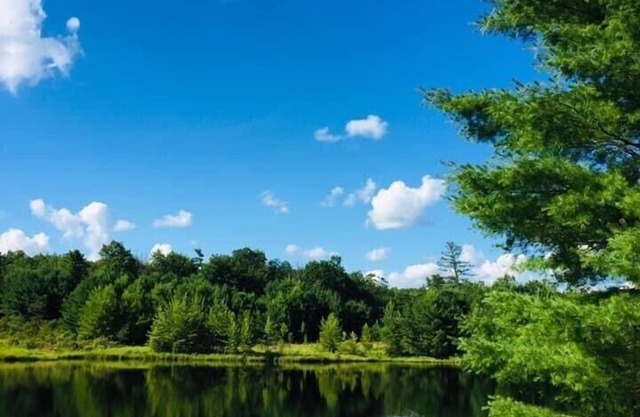 Jim Thorpe minutes away! Cozy Cabin, Peace & Quiet in Private Lake Community!