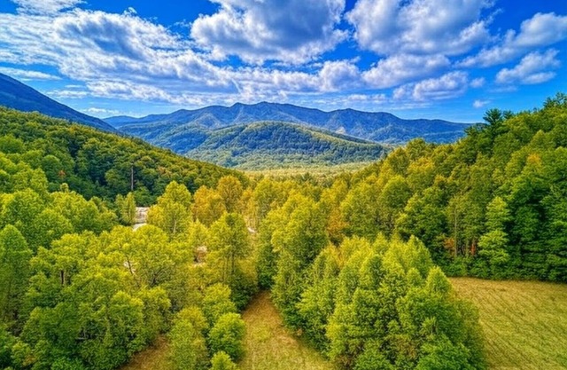 Jolly Jingle Cabin, Pickleball Court, WIFI, Mountain Views, Starting at $79