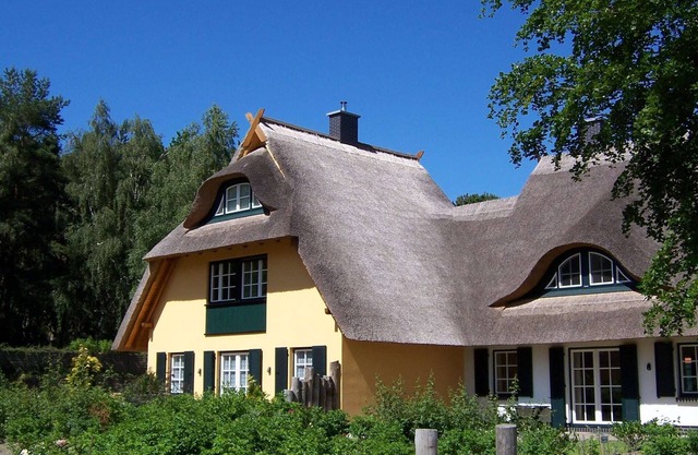 Küstenwaldvilla in Dierhagen