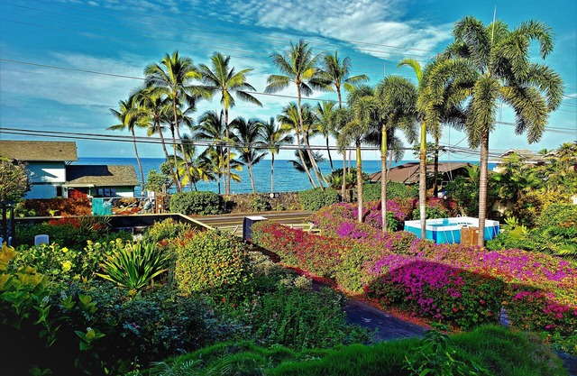 KAHALU'U BEACH HOUSE WALKING DISTANCE OF 4 MINUTES. SUNSETS, PALM TREES, BIRDS!