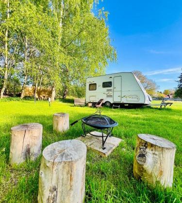Karavan v březovém háječku