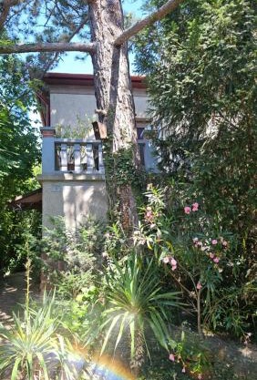 Kasza Villa
