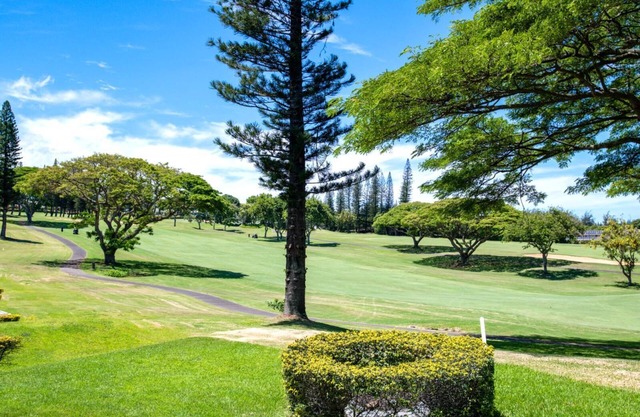 KBM Resorts | 8-Bedroom Kapalua Golf Collection | Multi Unit Listing | Same Enclave | Golf Course Views | 4 Free Rental Cars! KGV-14P3/P6/V3/T6