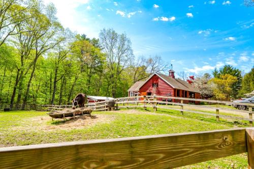 Killingly Barnyard Studio in Wine Country!