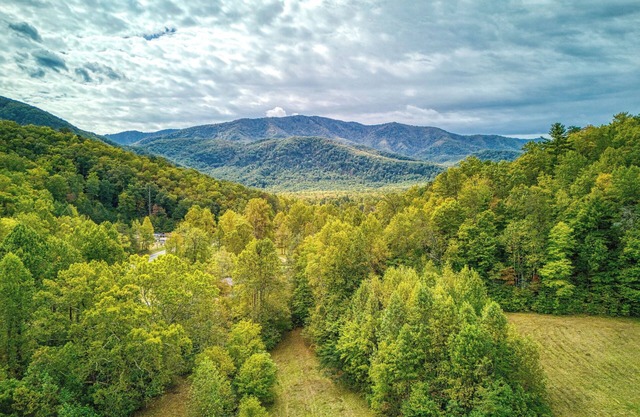 Kitt's Cottage, Pickleball Court, Creek, WIFI, Mountain Views, Starting at $79"