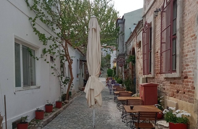 Konak phaedra
