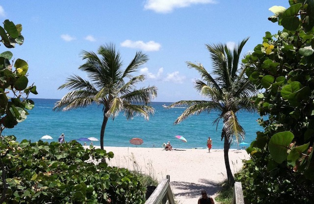 KOZY COTTAGE - October, November openings! 2.7 m from beach, UVC clean,