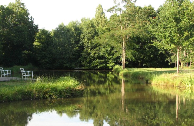 L'Ecurie - Solognese house with pond and horse meadows