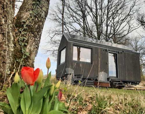 L'Envolée Ecolodge, tiny house au coeur des vignes