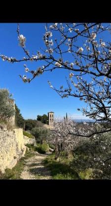 L'oustau des balmes