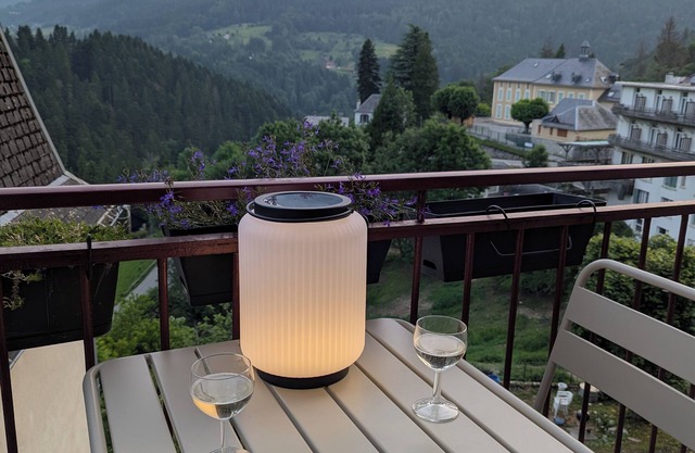 La Chartr’heureuse in the heart of the Park