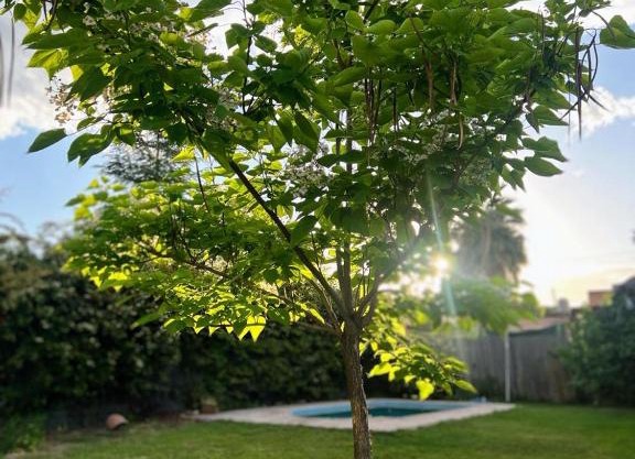 La Catalpa B&B