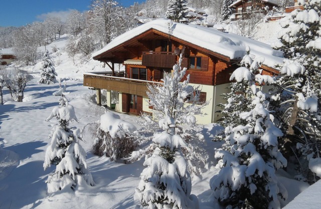 LA CLUSAZ Comfortable ground-floor apartment in a traditional chalet