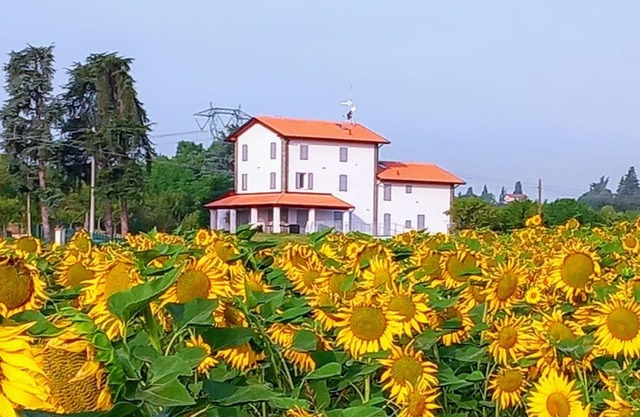 La collinetta B&B