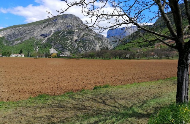 la grande chambre