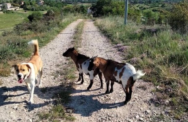 La Grange de Sabatas, Room La Payre