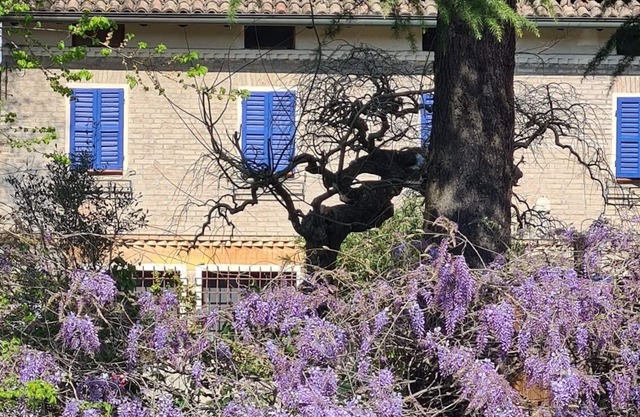 La Maison Deux, an old farmhouse from the late 18th century, with Provençal features.