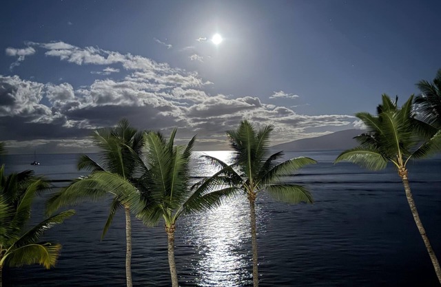 Lahaina Shores 533: Oceanfront Bliss & Whale Watching Views