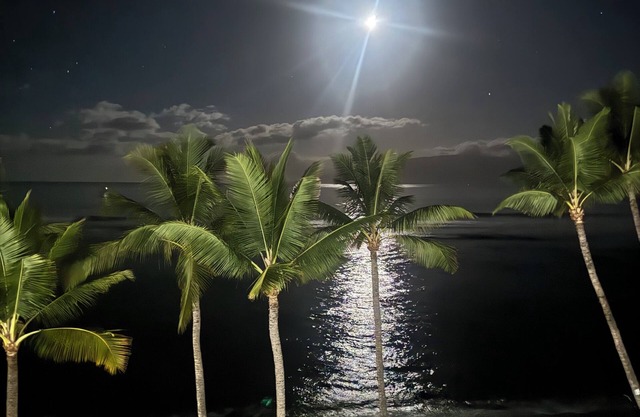 Lahaina Shores Maui Dream Oceanfront Ocean Views