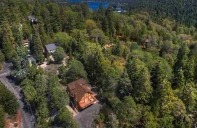 Lake Arrowhead Private Serene Cabin in the Woods- Dog Friendly