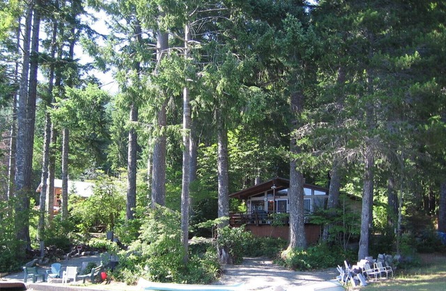 LAKE CUSHMAN WATERFRONT PARADISE! NO BANK! Majestic views, hiking, boating!