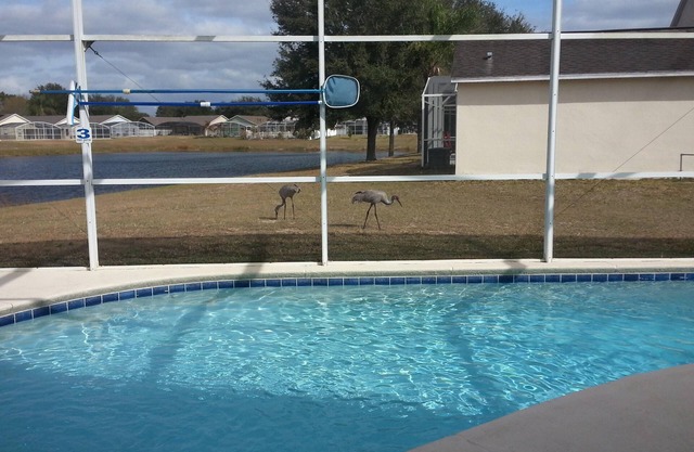 Lake view Home/Private Pool/Free WiFi near Disney World