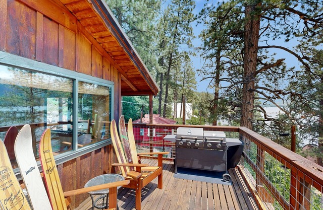 Lakefront, neighboring cabins w/beautiful views, deck with views