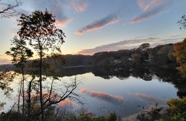 Lakeside Bliss
