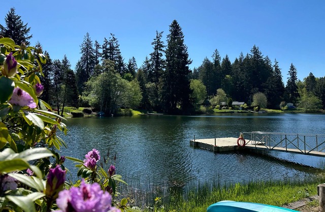 Lakeside home on Horseshoe Lake: kayaks, paddle boards, fire pit, games, fishing