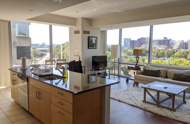 Large 2 Bed/2Bth Apt right by MGH,MIT,Harvard, W/D in suite, Gorgeous River View