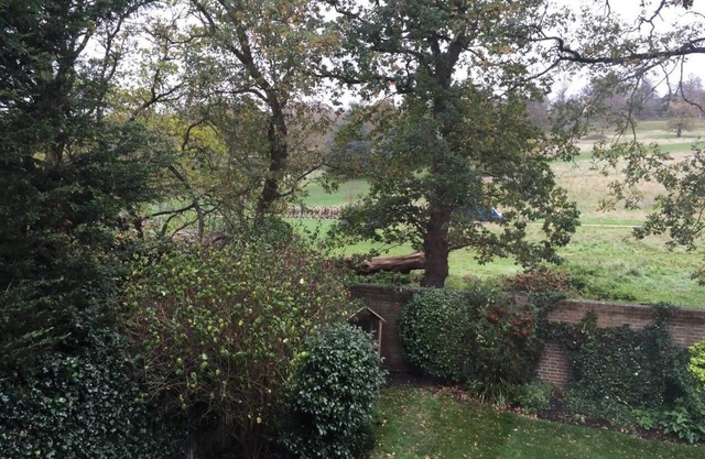Large Bright En-Suite Bedroom Overlooking Richmond Park