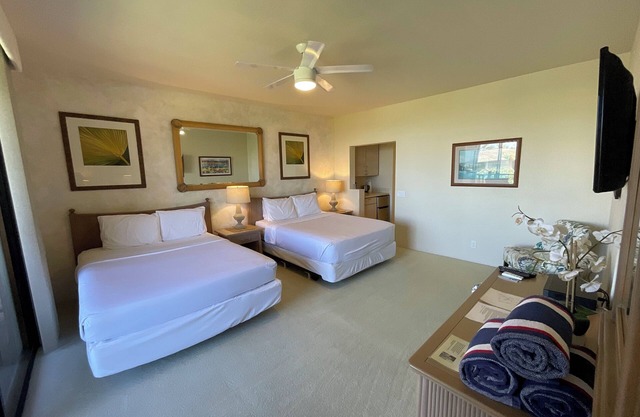 Large Charming Ocean View studio in terrific Wailea with WiFi, AC