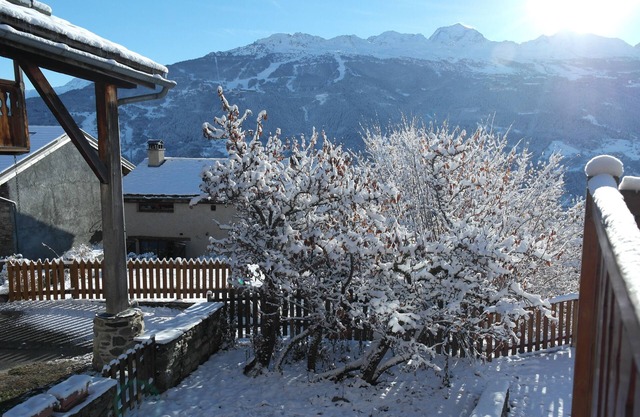 Large family chalet 200m2, with garden, near pistes, les Arcs, la Rosière