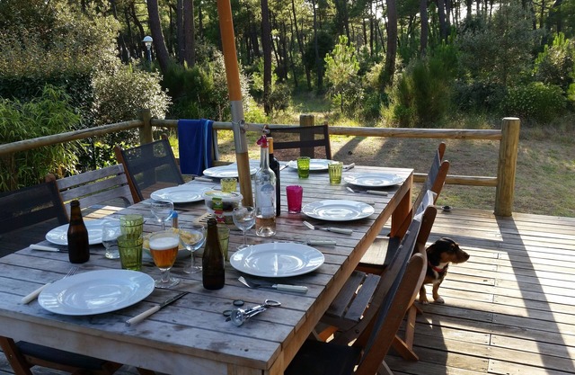 Large Villa 300m from the beach and La Palmyre Center