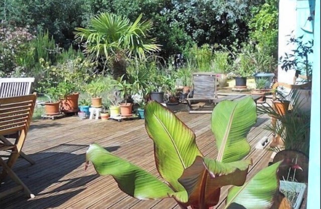 Le Bananier: Apartment in a charming "typical Canaulaise" villa