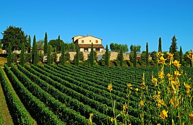 LE BUCHE ESTATE VILLA RENTAL