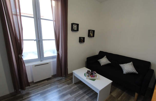 Le Cocon de Blois 1 bedroom apartment Cheverny with private terrace